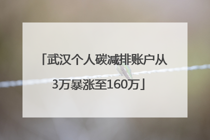 武汉个人碳减排账户从3万暴涨至160万