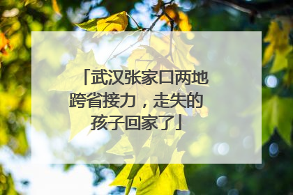 武汉张家口两地跨省接力，走失的孩子回家了