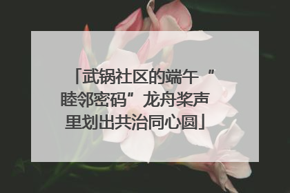 武锅社区的端午“睦邻密码”龙舟桨声里划出共治同心圆