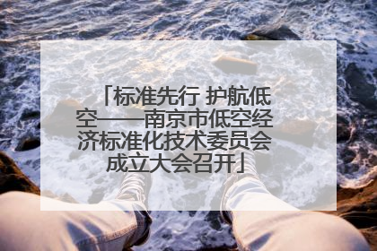 标准先行 护航低空——南京市低空经济标准化技术委员会成立大会召开