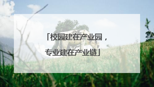 校园建在产业园，专业建在产业链