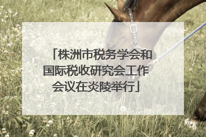 株洲市税务学会和国际税收研究会工作会议在炎陵举行