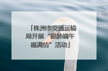 株洲市交通运输局开展“银龄端午福满情”活动