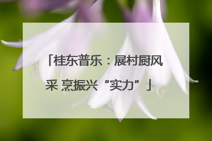 桂东普乐：展村厨风采 烹振兴“实力”