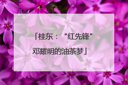 桂东：“红先锋”邓耀明的油茶梦