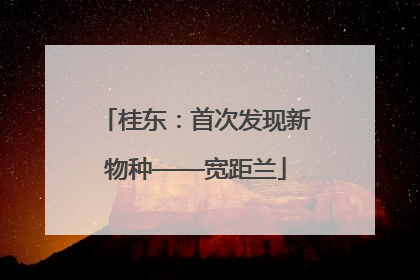 桂东：首次发现新物种——宽距兰