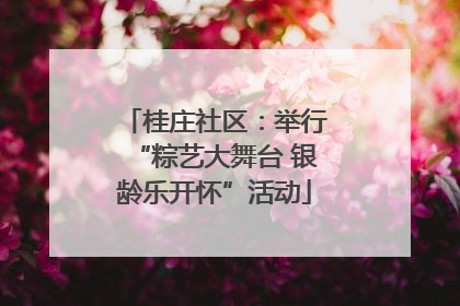 桂庄社区：举行“粽艺大舞台 银龄乐开怀”活动