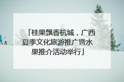 桂果飘香杭城，广西夏季文化旅游推广暨水果推介活动举行