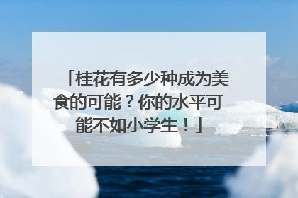 桂花有多少种成为美食的可能？你的水平可能不如小学生！
