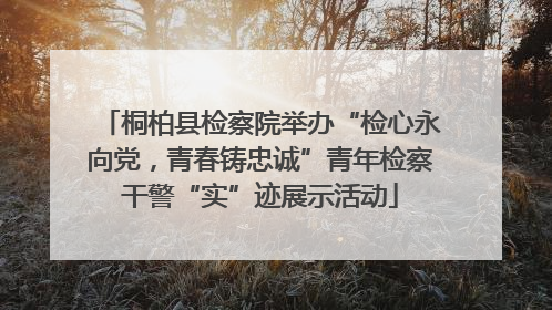 桐柏县检察院举办“检心永向党，青春铸忠诚”青年检察干警“实”迹展示活动
