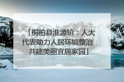 桐柏县淮源镇：人大代表助力人居环境整治 共建美丽宜居家园