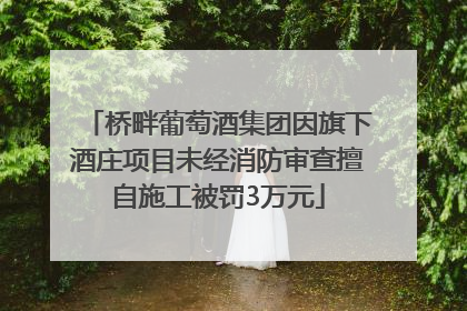 桥畔葡萄酒集团因旗下酒庄项目未经消防审查擅自施工被罚3万元