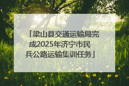 梁山县交通运输局完成2025年济宁市民兵公路运输集训任务