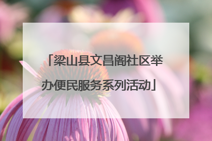 梁山县文昌阁社区举办便民服务系列活动