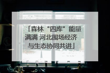 森林“四库”能量满满 河北围场经济与生态协同共进