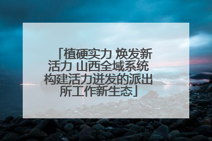 植硬实力 焕发新活力 山西全域系统构建活力迸发的派出所工作新生态