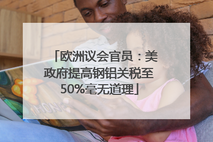 欧洲议会官员：美政府提高钢铝关税至50%毫无道理