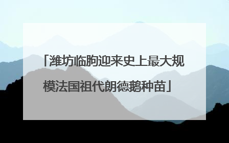 潍坊临朐迎来史上最大规模法国祖代朗德鹅种苗