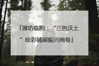 潍坊临朐：“三色沃土”绘彩铺展振兴画卷