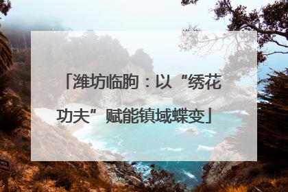潍坊临朐：以“绣花功夫”赋能镇域蝶变