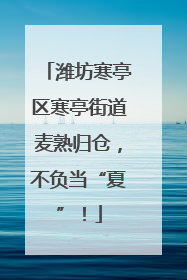 潍坊寒亭区寒亭街道麦熟归仓，不负当“夏”！