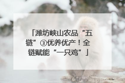 潍坊峡山农品“五链”③优养优产！全链赋能“一只鸡”
