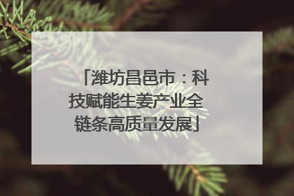 潍坊昌邑市：科技赋能生姜产业全链条高质量发展