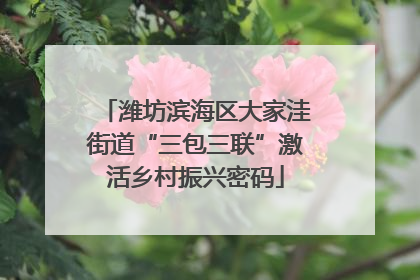 潍坊滨海区大家洼街道“三包三联”激活乡村振兴密码