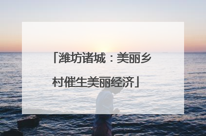 潍坊诸城：美丽乡村催生美丽经济