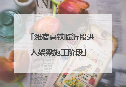 潍宿高铁临沂段进入架梁施工阶段