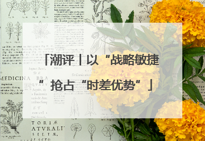 潮评丨以“战略敏捷”抢占“时差优势”