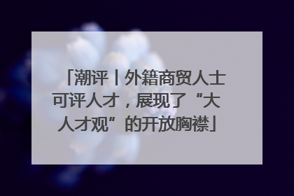 潮评丨外籍商贸人士可评人才，展现了“大人才观”的开放胸襟