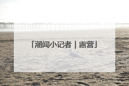 潮闻小记者｜露营