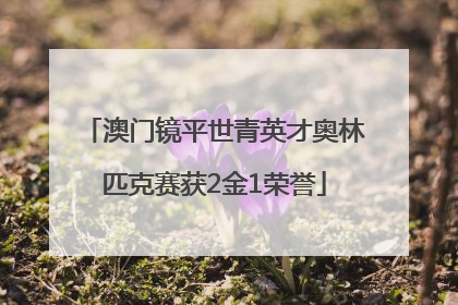 澳门镜平世青英才奥林匹克赛获2金1荣誉