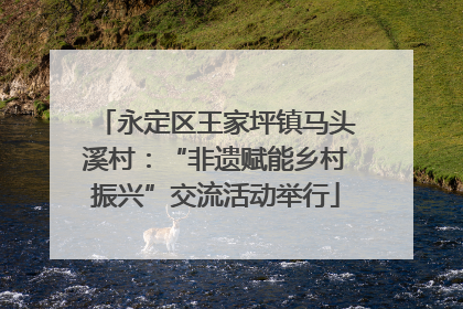 永定区王家坪镇马头溪村：“非遗赋能乡村振兴”交流活动举行
