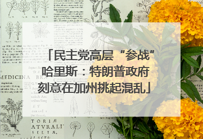 民主党高层“参战” 哈里斯：特朗普政府刻意在加州挑起混乱