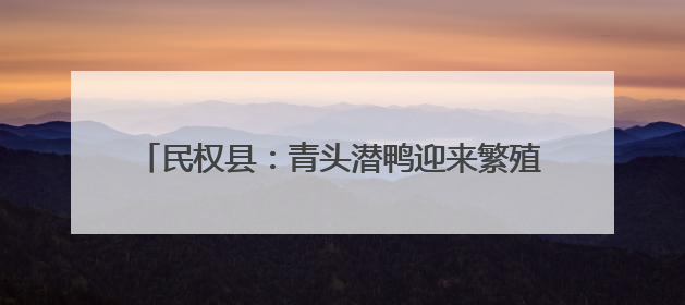 民权县：青头潜鸭迎来繁殖盛景 湿地保护成效显著