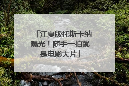 江夏版托斯卡纳曝光！随手一拍就是电影大片