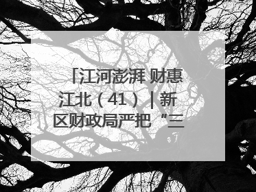 江河澎湃 财惠江北（41）｜新区财政局严把“三关” 绘就“良田美景”