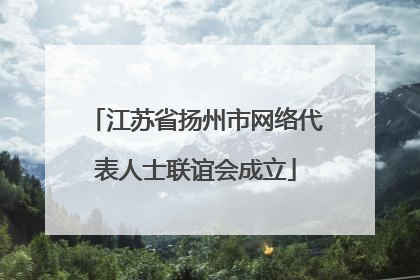 江苏省扬州市网络代表人士联谊会成立