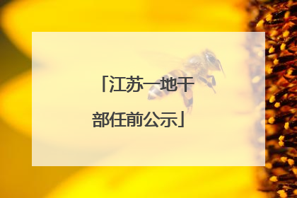 江苏一地干部任前公示