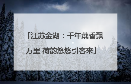 江苏金湖：千年藕香飘万里 荷韵悠悠引客来