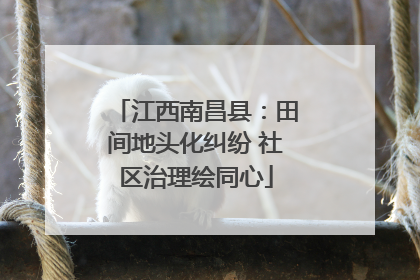 江西南昌县：田间地头化纠纷 社区治理绘同心