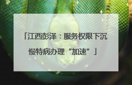 江西彭泽：服务权限下沉 慢特病办理“加速”
