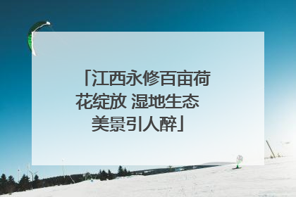 江西永修百亩荷花绽放 湿地生态美景引人醉
