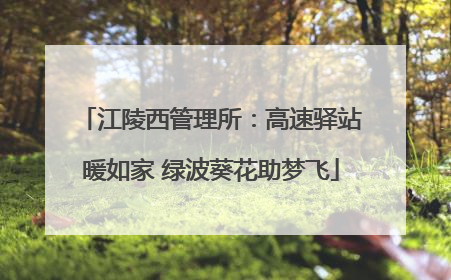 江陵西管理所：高速驿站暖如家 绿波葵花助梦飞