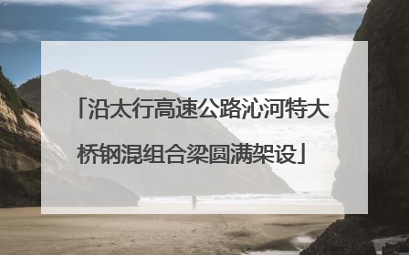 沿太行高速公路沁河特大桥钢混组合梁圆满架设