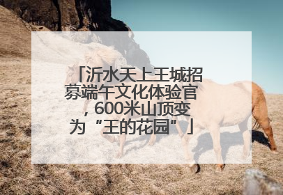 沂水天上王城招募端午文化体验官，600米山顶变为“王的花园”