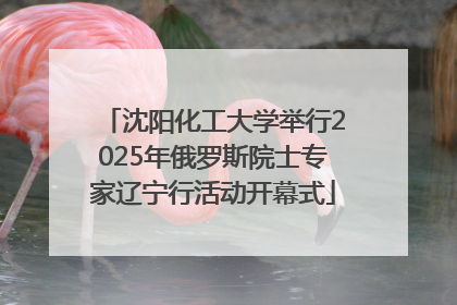 沈阳化工大学举行2025年俄罗斯院士专家辽宁行活动开幕式