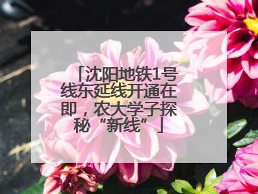 沈阳地铁1号线东延线开通在即，农大学子探秘“新线”